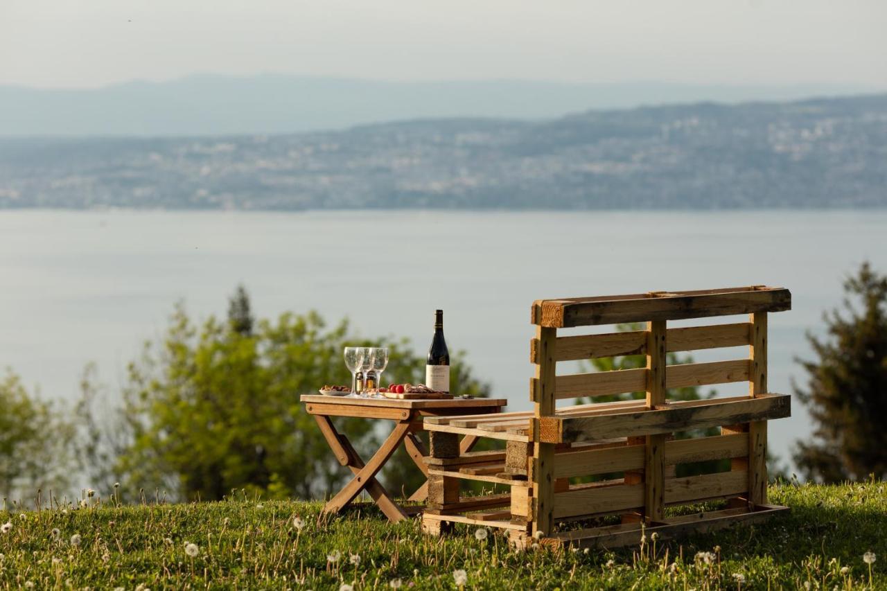 Garden & City Evian - Lugrin Εξωτερικό φωτογραφία